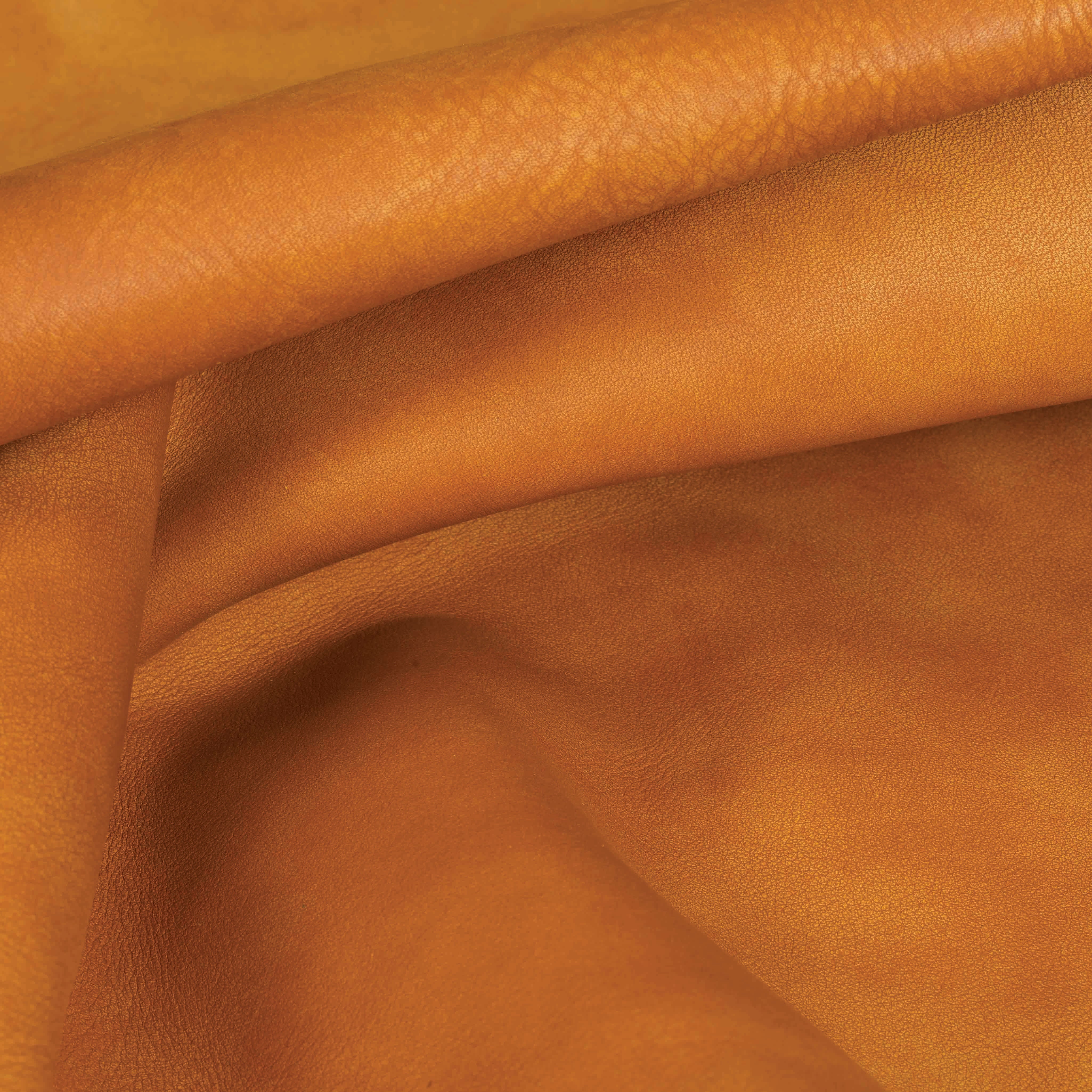 Top-Grain Leather Hides – Premium Quality Material